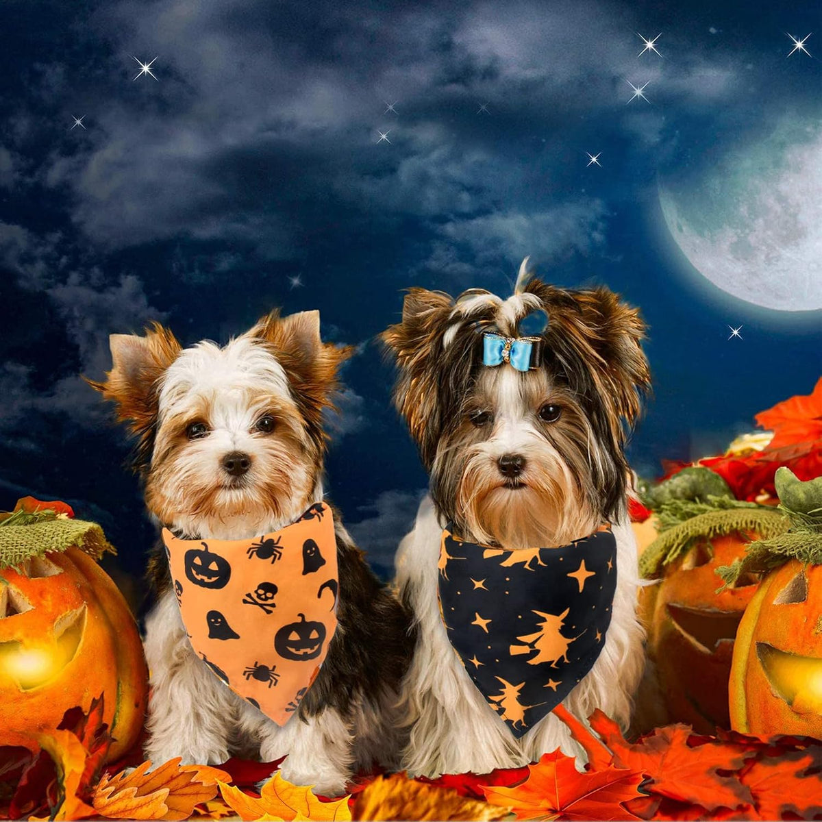 Paw & Co Witch & Pumpkin Bandanas (2 Pack)