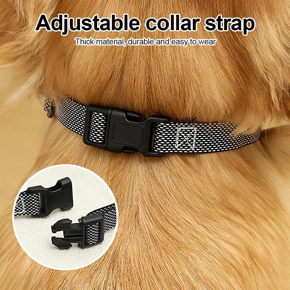 Dual Retractable Lead - Paw & Co