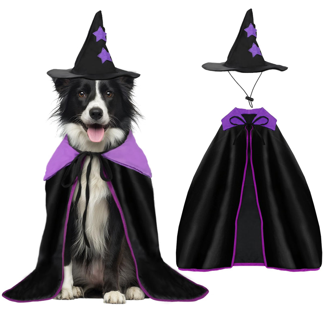 Dog wearing a wizard cape and hat Halloween costume