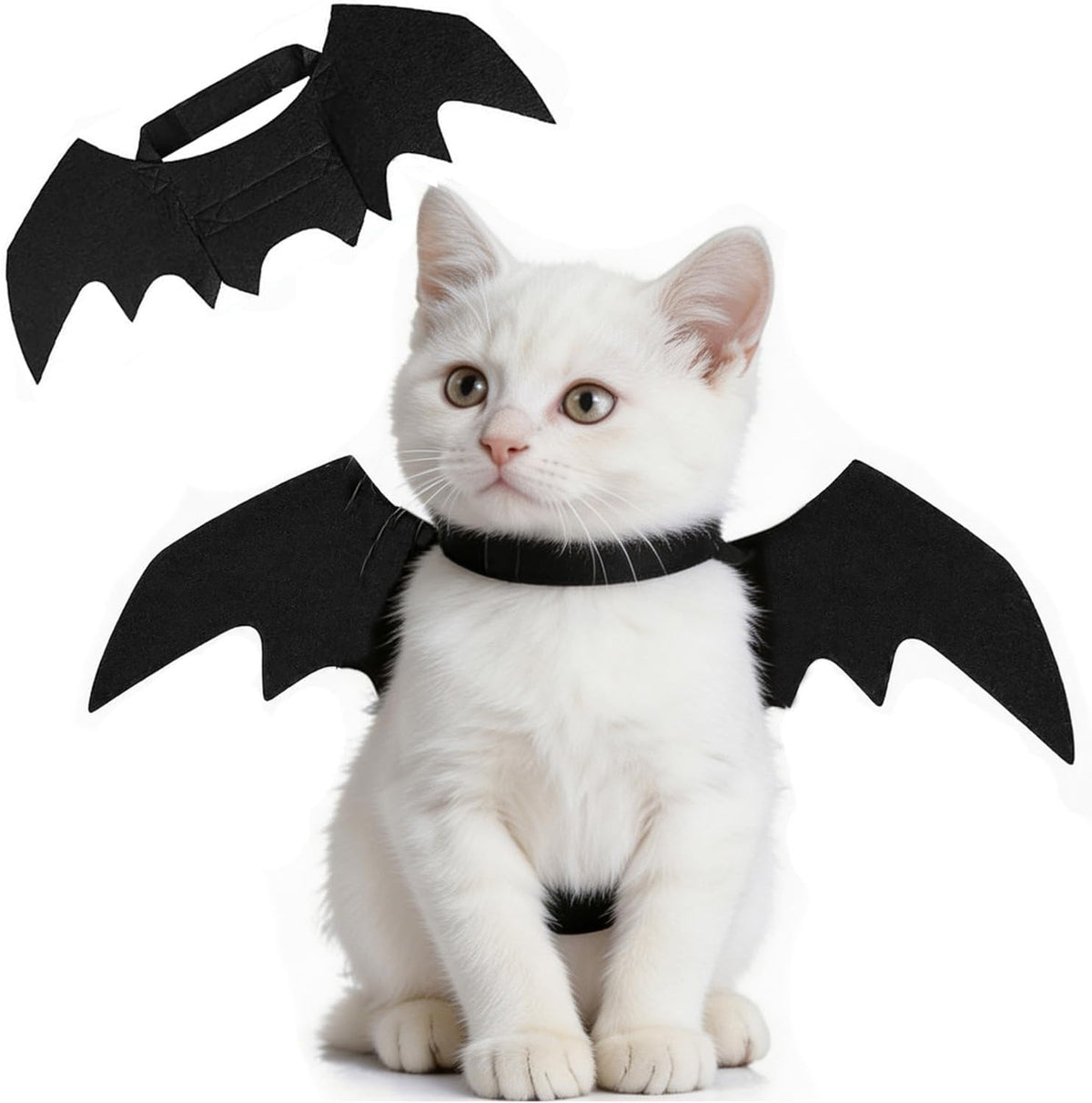 Paw & Co Bat Wings Pet Costume