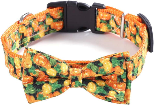 Paw & Co Pumpkin Bowtie Collar