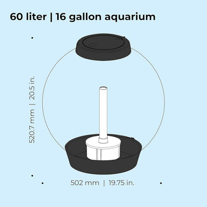 60L acrylic aquarium side view