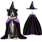 Paw & Co Grand Wizard Cape & Hat