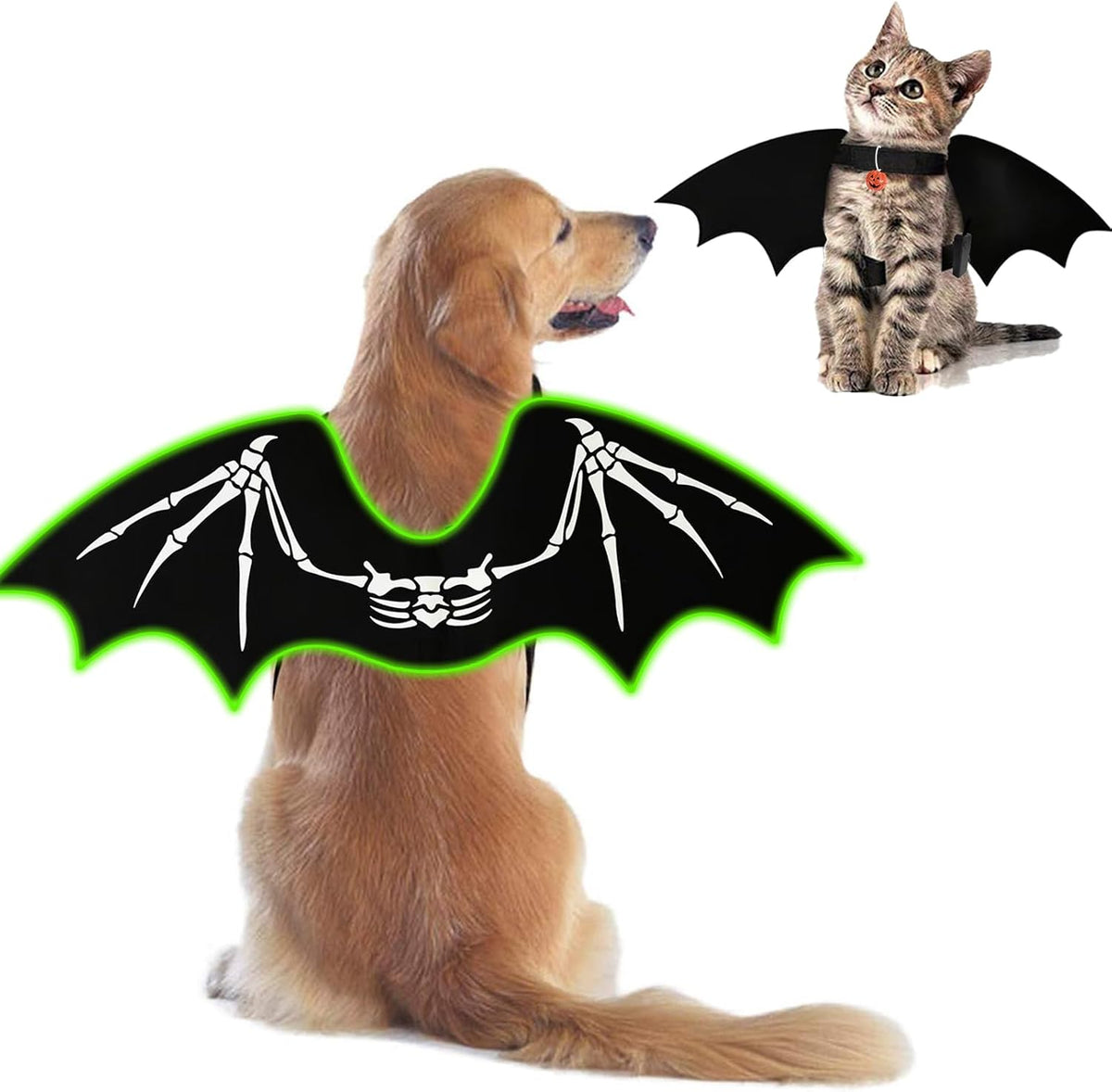 Paw & Co Light-Up Skeleton Bat Wings