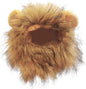Paw & Co Lion Mane Pet Hat