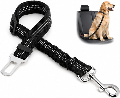 Paw & Co Monthly Box - Dog