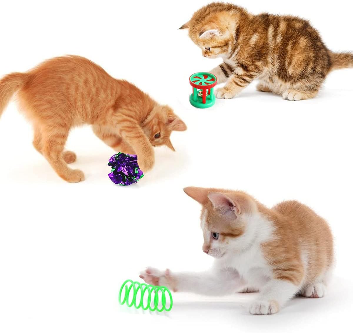 Paw & Co Kitten Play Kit with Tunnel (20 Pcs)