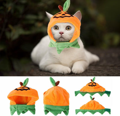 Paw & Co Pumpkin Cat Hat