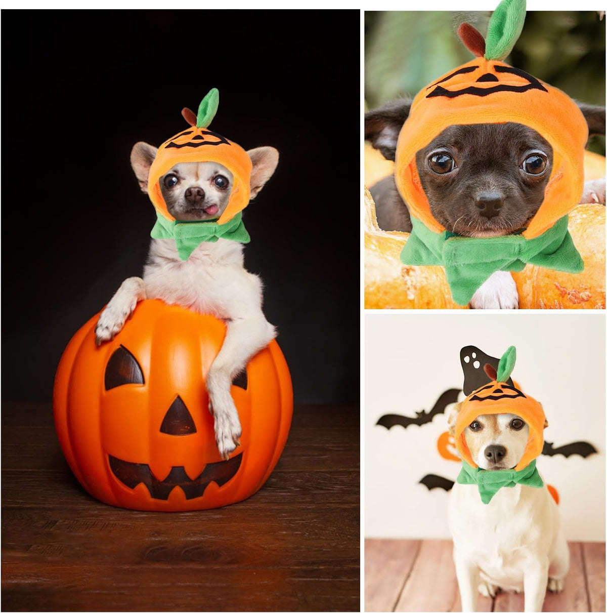 Paw & Co Pumpkin Cat Hat