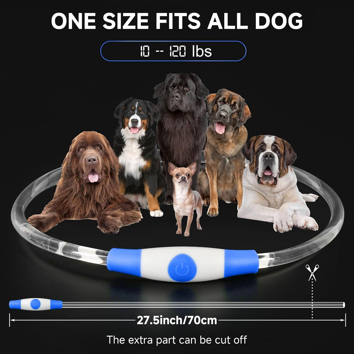 Paw & Co Rechargeable LED Light-Up Collar