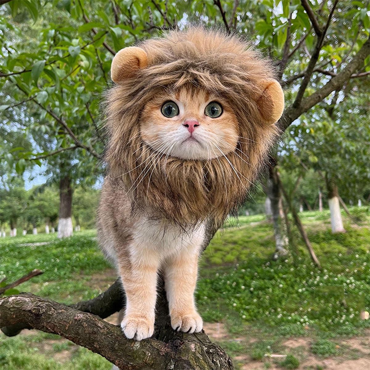 Paw & Co Lion Mane Pet Hat