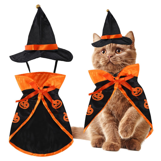 Paw & Co Little Wizard Costume