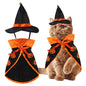 Paw & Co Little Wizard Costume