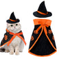 Paw & Co Mini Witch Cloak