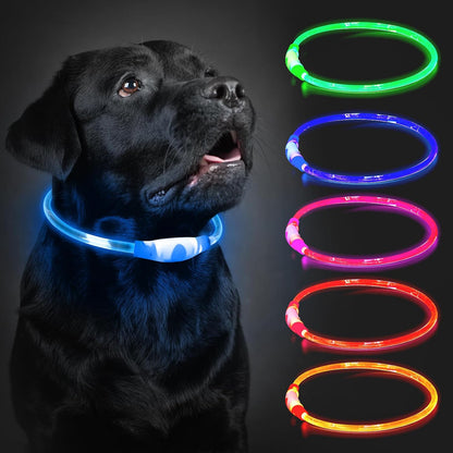 Paw & Co Rechargeable LED Light-Up Collar