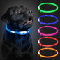 Paw & Co Rechargeable LED Light-Up Collar