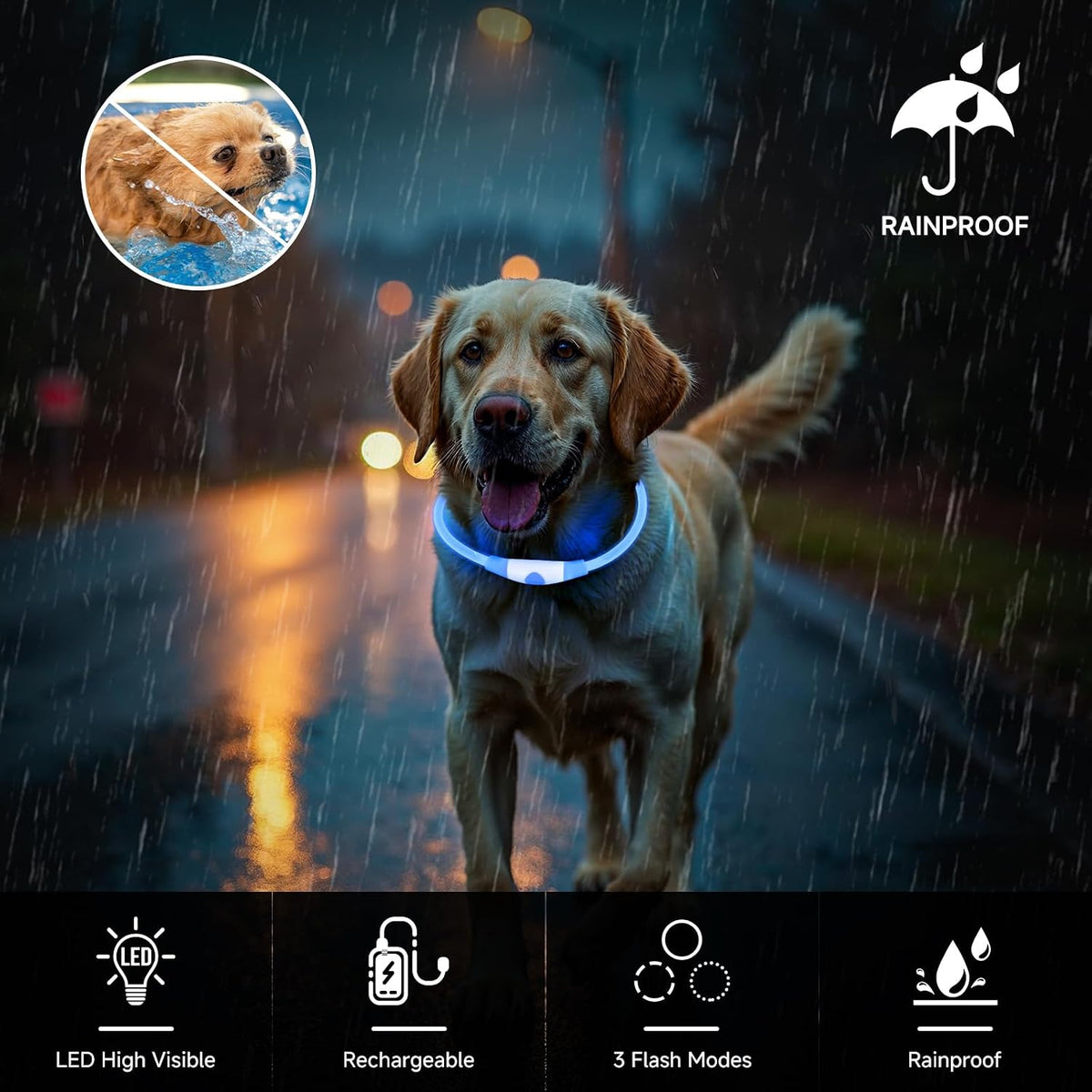 Paw & Co Rechargeable LED Light-Up Collar