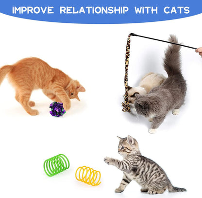 Paw & Co Kitten Play Kit with Tunnel (20 Pcs)