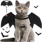 Paw & Co Cat Bat Wings with Pumpkin Bell