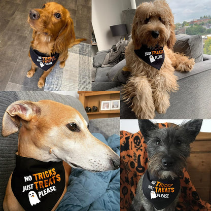 Paw & Co 'No Tricks Just Treats' Dog Bandana (Large)
