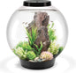 Paw & Co Lumina 60L black acrylic LED aquarium