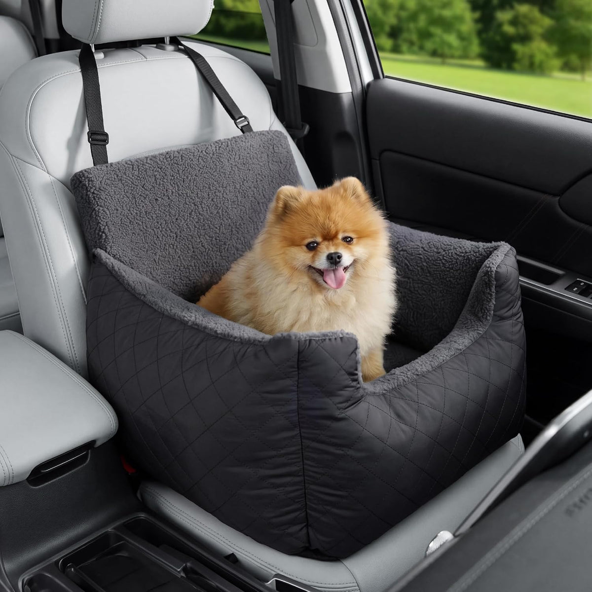 Paw & Co Small Dog Car Booster Seat