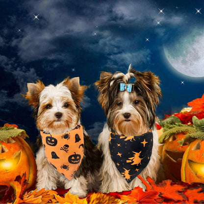 Paw & Co Witch & Pumpkin Bandanas (2 Pack)