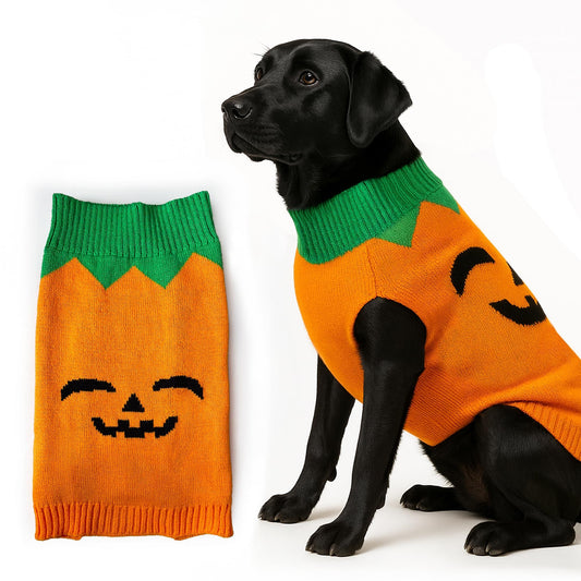 Paw & Co Pumpkin Hoodie Jumper