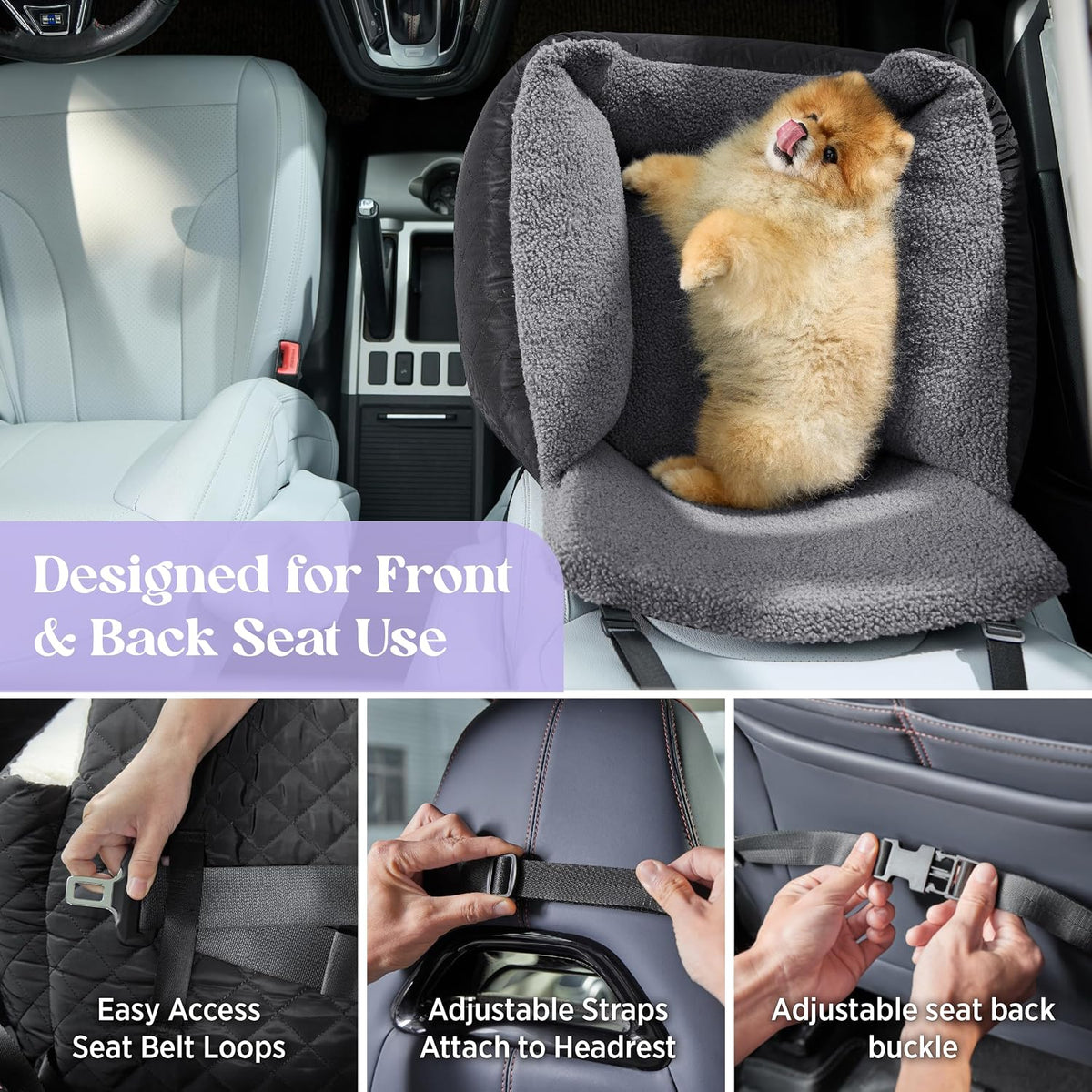 Paw & Co Small Dog Car Booster Seat