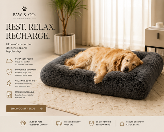 Paw & Co Large Washable Dog Bed