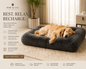 Paw & Co Large Washable Dog Bed