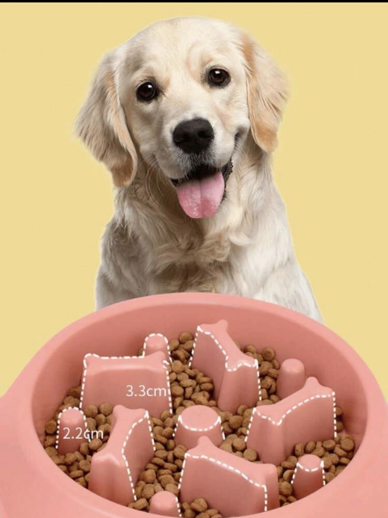 Paw & Co Slow feeding bog bowl