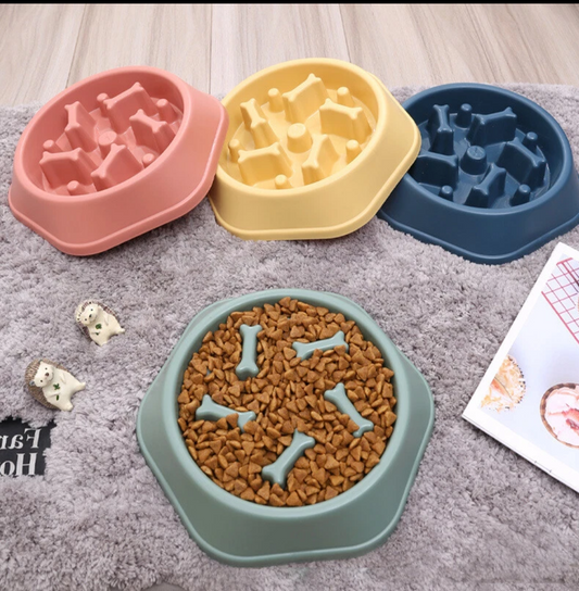 Paw & Co Slow feeding bog bowl