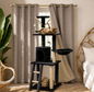 Paw and Co Nala Cat Tree