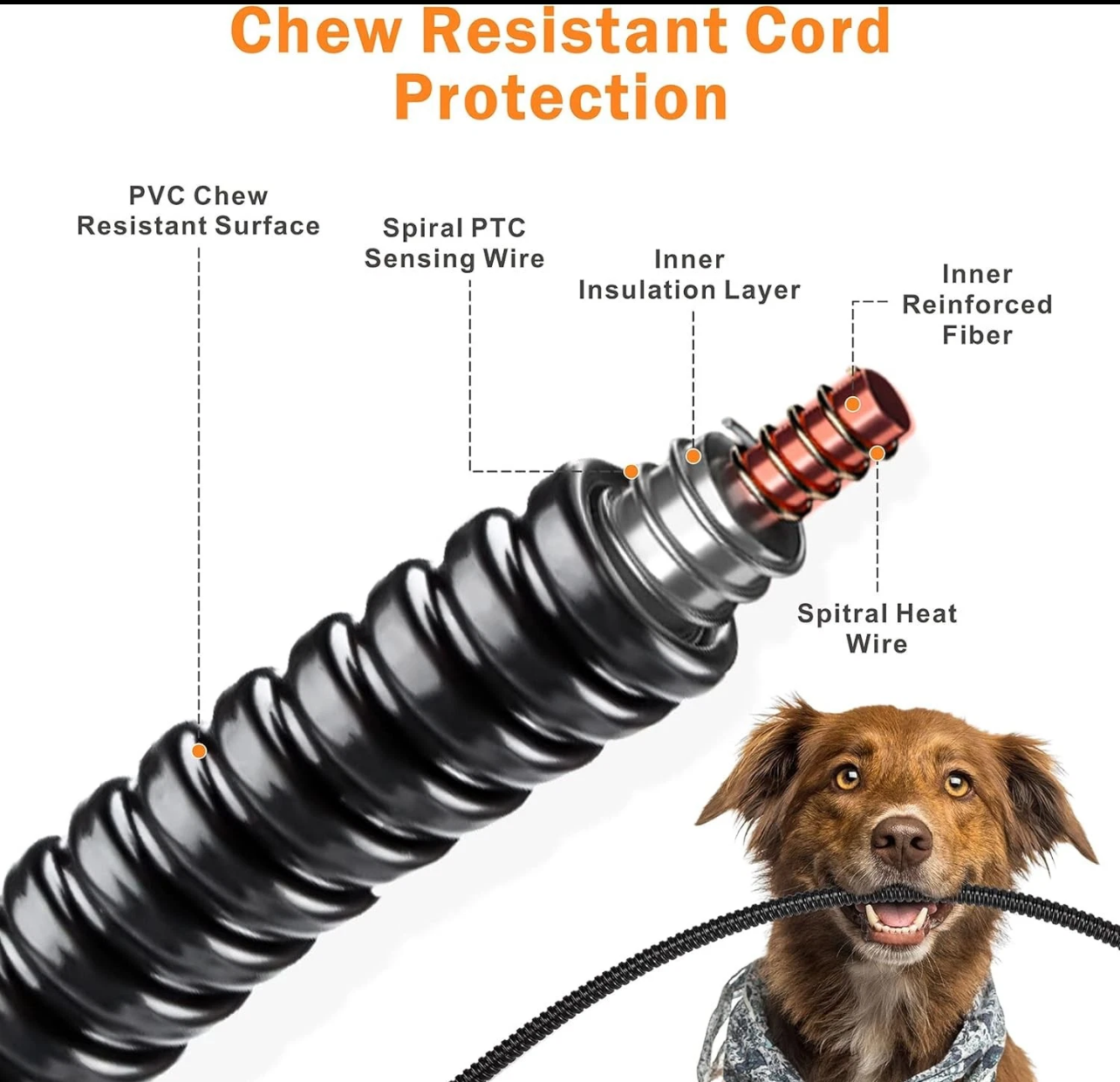 Paw & Co Heated Pet Mat