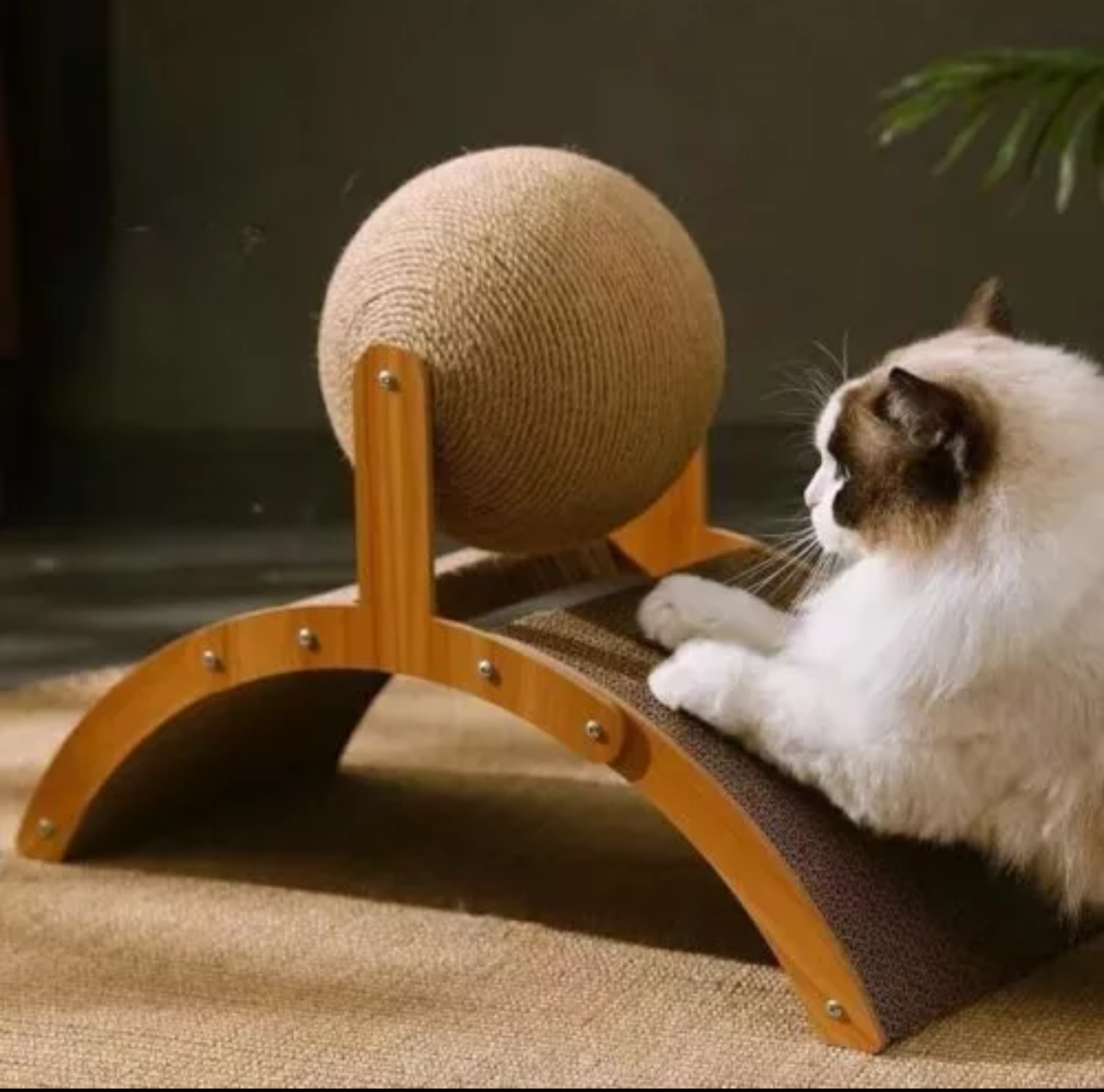 Paw & Co Cat Scratching Ball