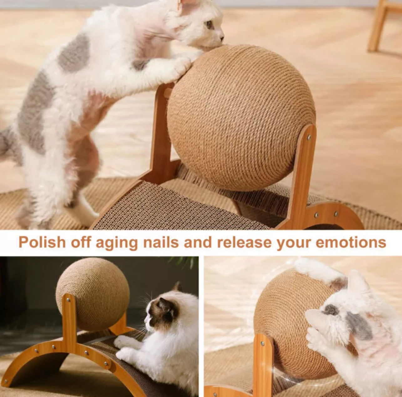 Paw & Co Cat Scratching Ball