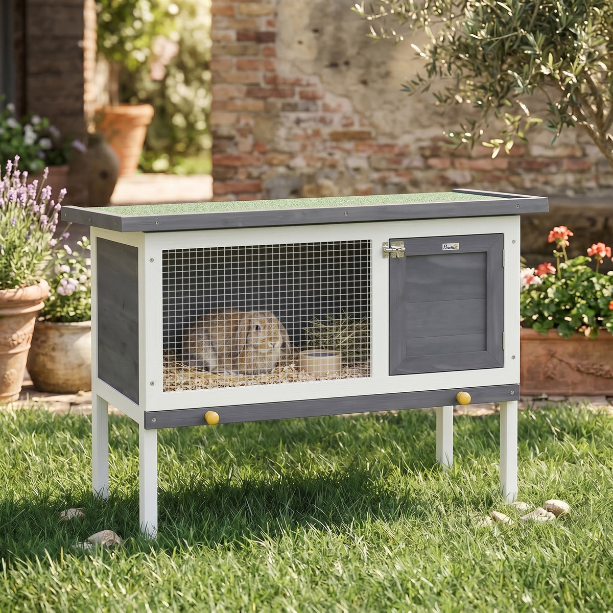 4ft Hutch - Paw & Co