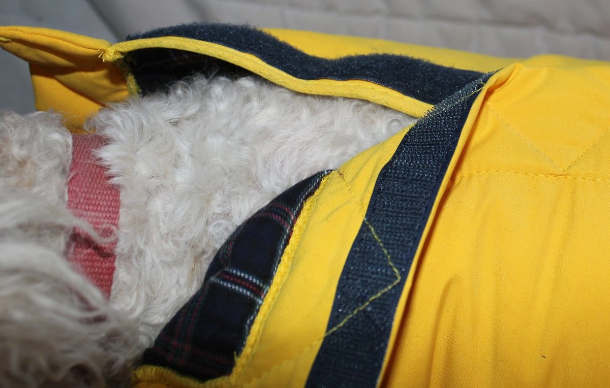 All-in-One Padded Coat - Paw & Co