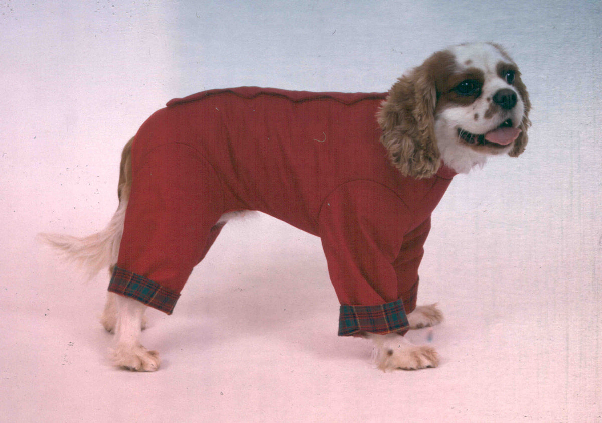 All-in-One Padded Coat - Paw & Co
