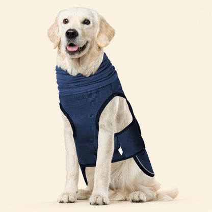 Paw & Co Hooded Calming Vest on a cream background