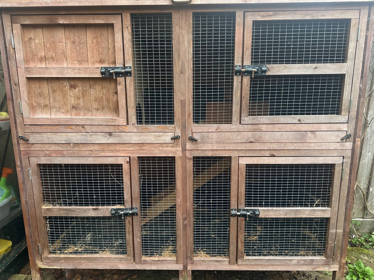 Chartwell 4ft Hutch and Run - Paw & Co