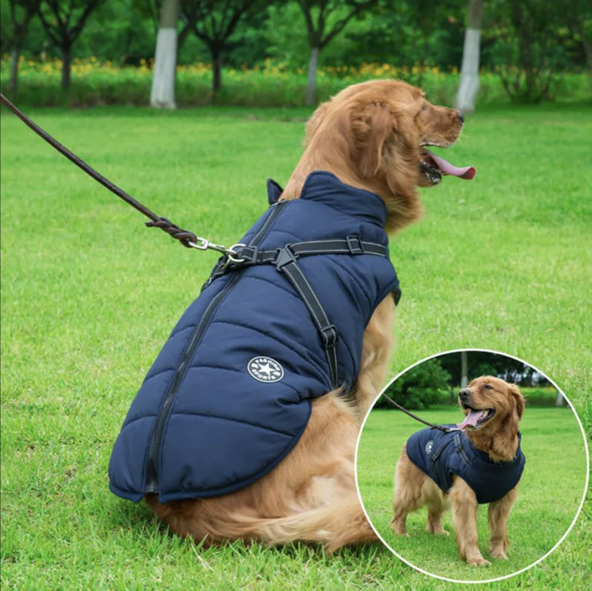 Coat with Harness Hole - Paw & Co