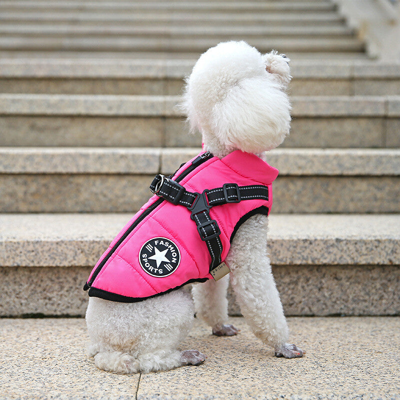 Coat with Harness Hole - Paw & Co