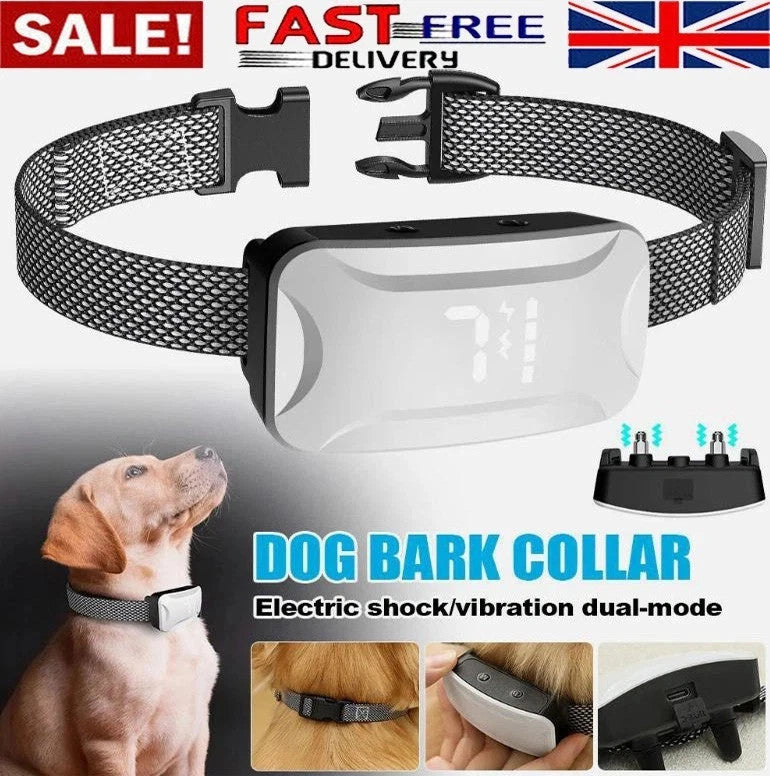 Dual Retractable Lead - Paw & Co