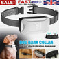 Dual Retractable Lead - Paw & Co