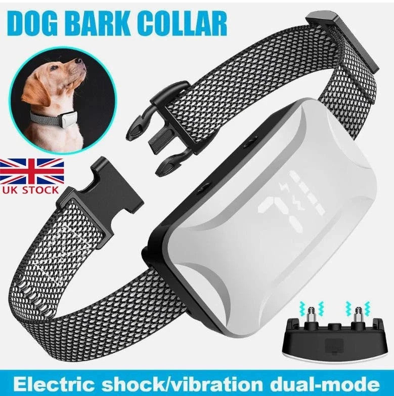 Dual Retractable Lead - Paw & Co