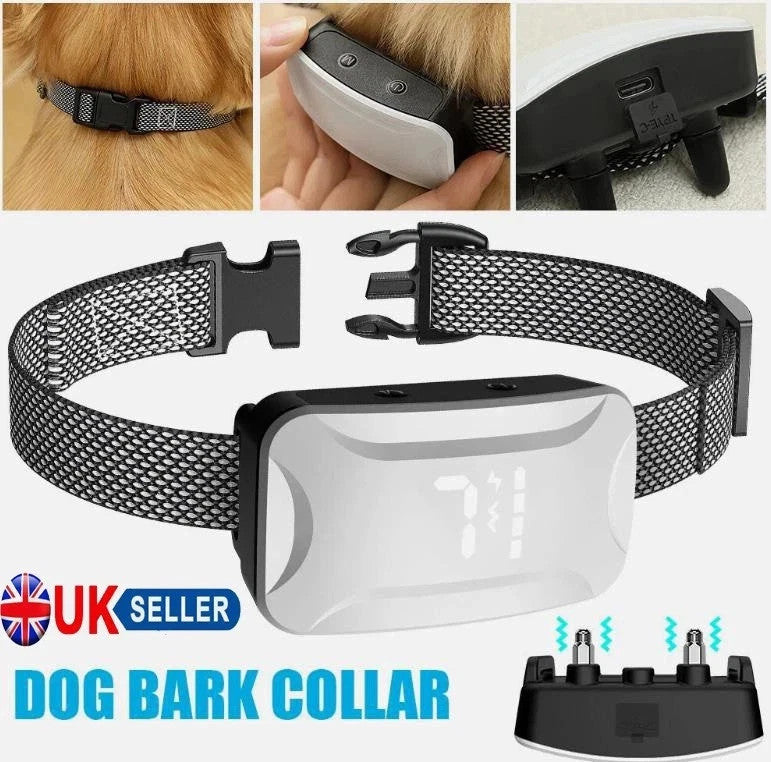 Dual Retractable Lead - Paw & Co