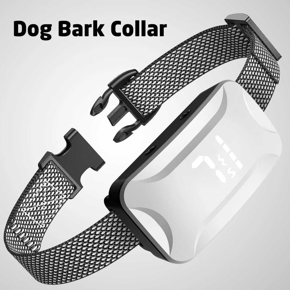 Dual Retractable Lead - Paw & Co