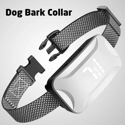 Dual Retractable Lead - Paw & Co